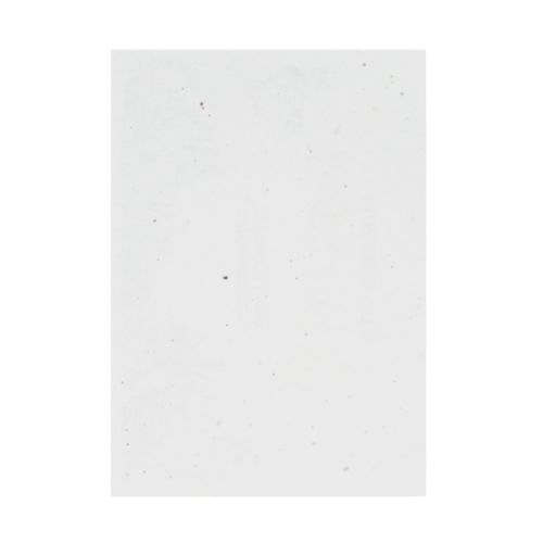 Unbedrucktes Samenpapier DIN A4 | 200 g/m² - Bild 2